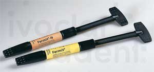 fermit N composites single syringes dental